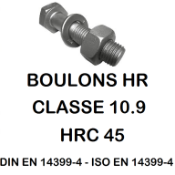 BOULONS SPECIAUX FORGÉE 